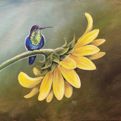 Happy-as-a-Hummingbird