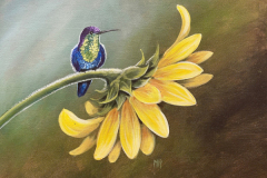 Happy-as-a-Hummingbird