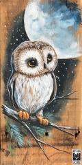 Night Owl