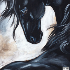 Black-Beauty-Single-Image