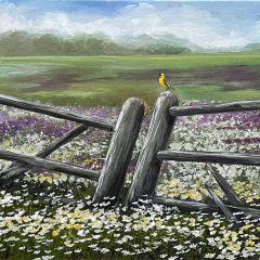 Forgotten Fields