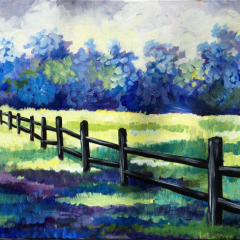 Lavender-Fields-Single-Image