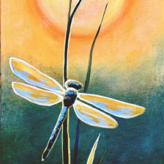 Dragonfly Sunset
