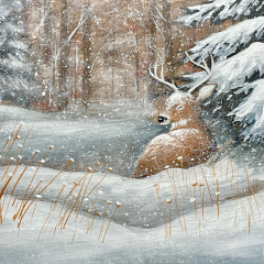 Winter Whitetail