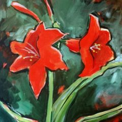 Amaryllis
