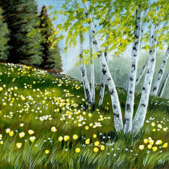 Birch Meadow