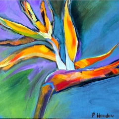 Bird-of-Paradise