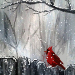Cardinal on Fence