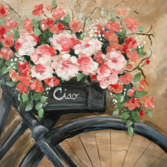 Ciao-Bella