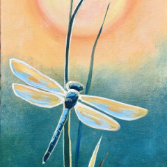 Dragonfly Sunset