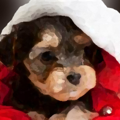 Holiday Pet Paint