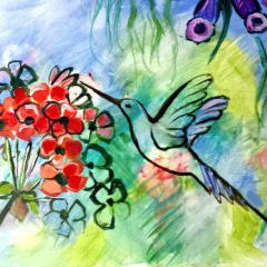 Hummingbird-and-Geranium-VV