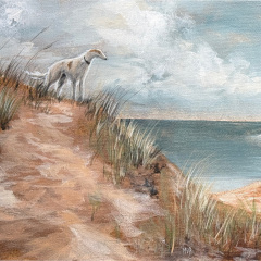 Loose On The Dunes