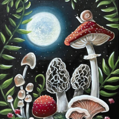 Midnight-Mushroms