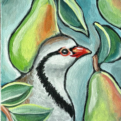 Partridge in a Pear Tree