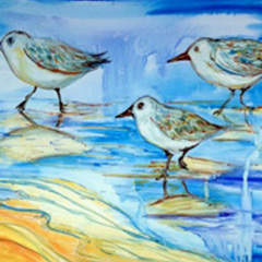 Sandpipers