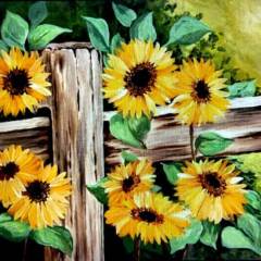 Sunflower-Fence-1