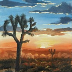 SunsetatJoshuaTree-e1678969195423