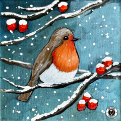 Warm Winter Robin