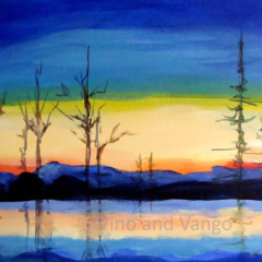 Winter Reflections