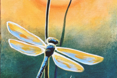 Dragonfly Sunset