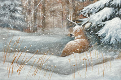 Winter Whitetail