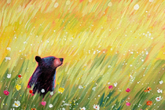 Bear-in-Breeze