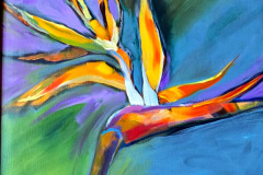Bird-of-Paradise