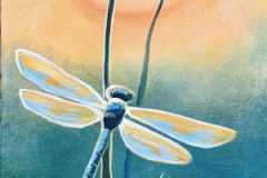Dragonfly Sunset