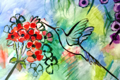 Hummingbird-and-Geranium-VV