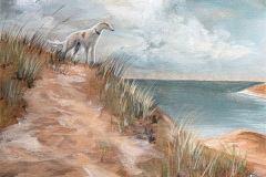 Loose On The Dunes