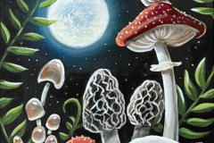 Midnight-Mushroms