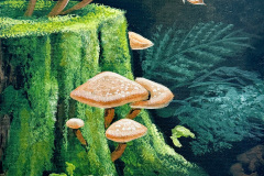 Mushrooms And Moss