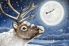 Reindeer Dreams
