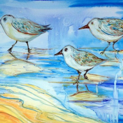 Sandpipers
