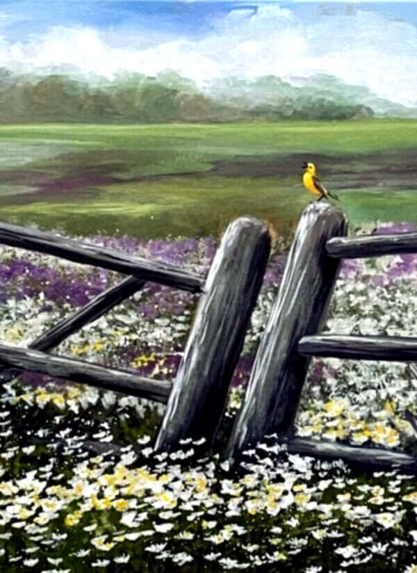 Forgotten Field